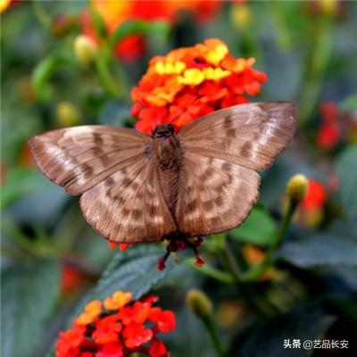 国内市占率超70%的信息化龙头企业且成长空间巨大，股价跌去80%，是否值得关注？